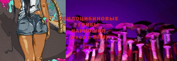 шишки Орехово-Зуево