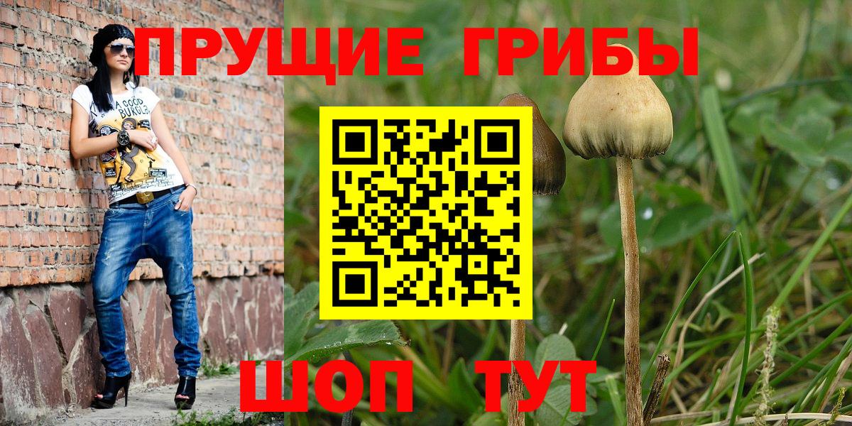 Галлюциногенные грибы мухоморы Волоколамск