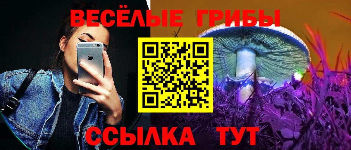 Псилоцибиновые грибы мицелий  Галлюциногенные грибы Cubensis  где найти   Вход с VPN  Волоколамск 